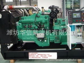 濰坊華信柴油機(jī) 燃?xì)獍l(fā)電機(jī)組全系產(chǎn)品列表及銷售服務(wù)詳解