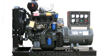 30kW柴油發(fā)電機(jī)組 為養(yǎng)殖場(chǎng)提供可靠電力保障的優(yōu)選設(shè)備